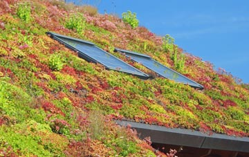 Keynsham living roof systems